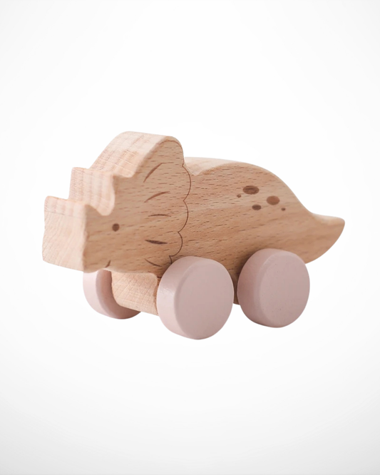 Wooden Push Car Set – Montessori Toy